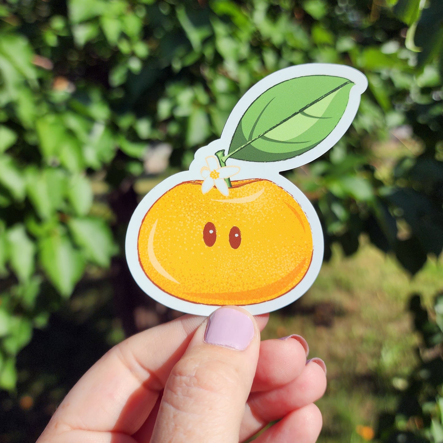 Mandarin  |  Vinyl Sticker