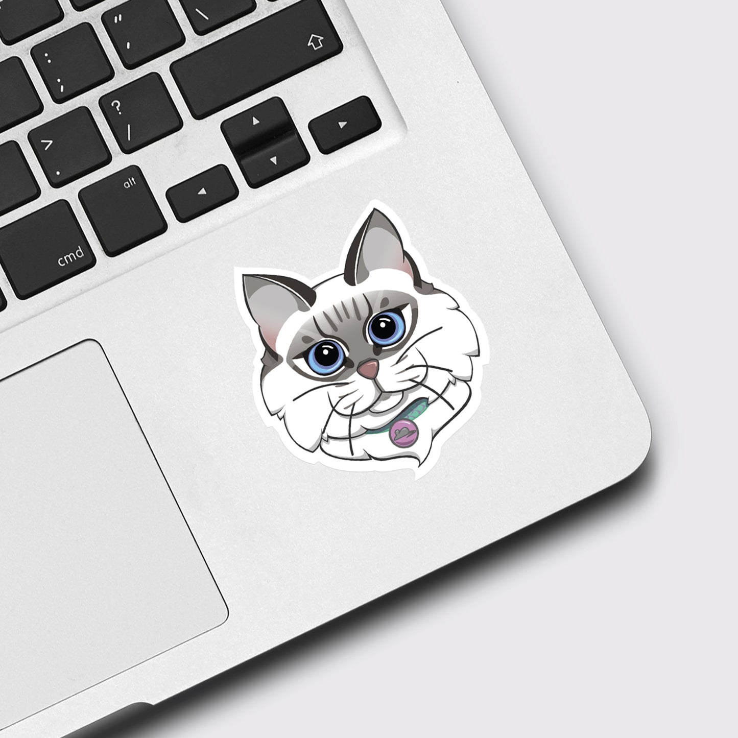 Ragdoll Cat  |  Vinyl Sticker