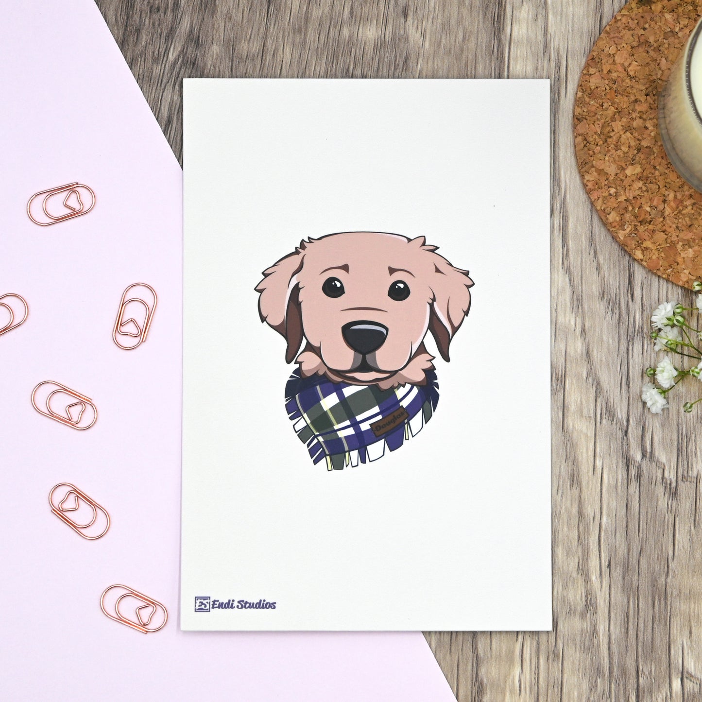 Pets Collection Postcards | Set of 4