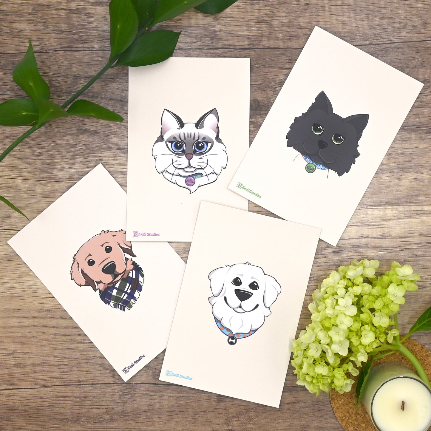 Pets Collection Postcards | Set of 4