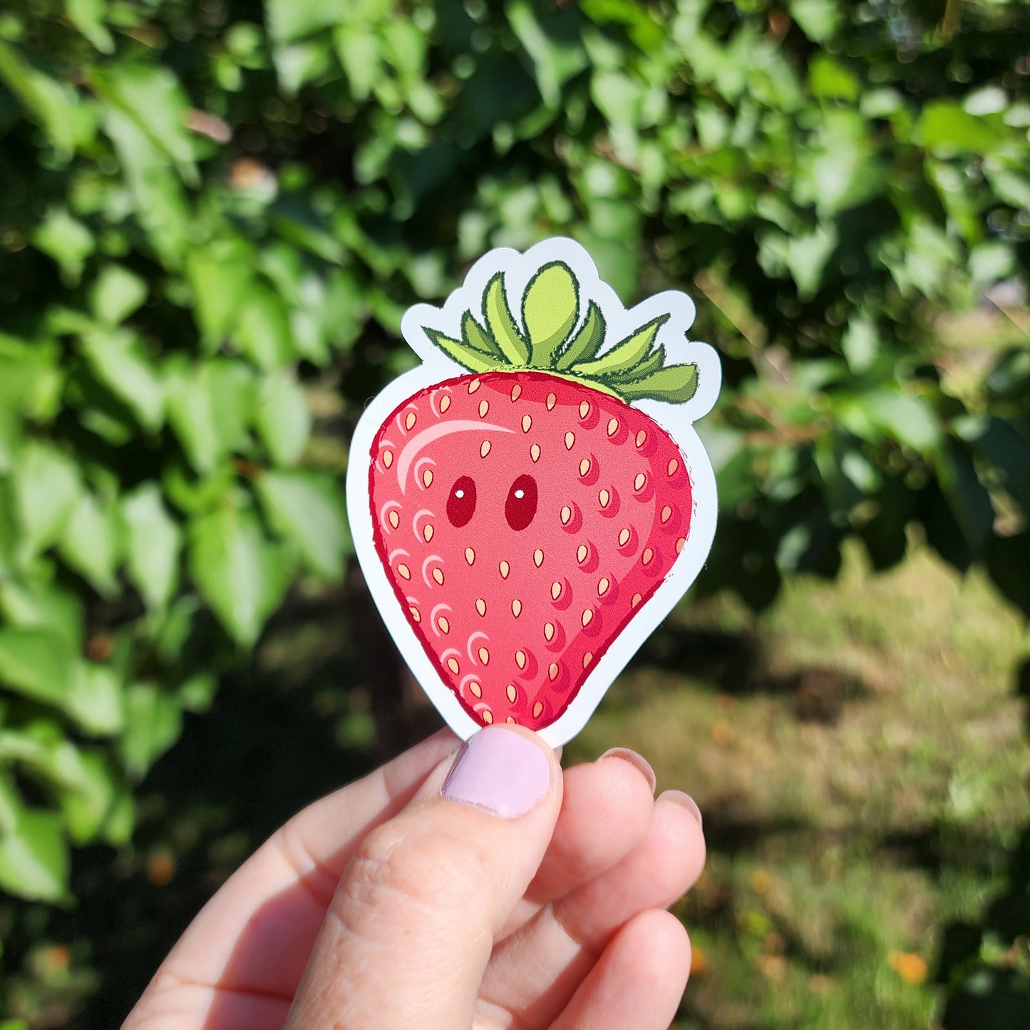 Strawberry  |  Magnet